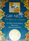 GayNeck the Story of a Pigeon