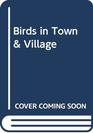 Birds in Town  Village