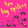 Ten Big Spiders