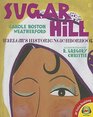 Sugar Hill Harlem's Historic Neighborhood