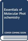 Essentials of Molecular Photochemistry