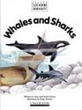 Whales and sharks