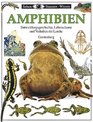 Sehen Staunen Wissen Amphibien Entwicklungsgeschichte Lebensrume und Verhalten der Lurche