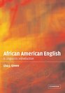 African American English  A Linguistic Introduction