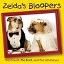 Zelda's Bloopers  The Good the Bad and the Whatever