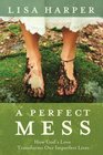 A Perfect Mess Why You Don't Have to Worry About Being Good Enough for God