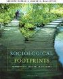 Sociological Footprints Ed7 Im