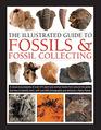 The Illustrated Guide to Fossils  Fossil Collecting A Reference Guide to Over 375 Plant and Animal Fossils from Around the Globe and How to Identify Them with Over 950 Photographs and Artworks