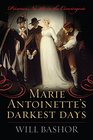 Marie Antoinette's Darkest Days Prisoner No 280 in the Conciergerie