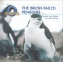 The BrushTailed Penguins