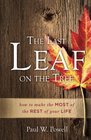 The Last Leaf on the Tree How to Make the Most of the Rest of Your Life