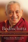Bodhichitta Practice for a Meaningful Life