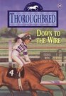 Down to the Wire (Thoroughbred, Bk 38)