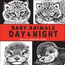 Baby Animals Day  Night