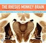 The Rhesus Monkey Brain in Stereotaxic Coordinates Second Edition