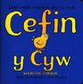 Cefin Y Cyw / Kevin The Chicken
