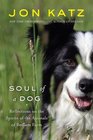 Soul of a Dog Reflections on the Spirits of the Animals of Bedlam Farm