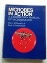 Microbes in Action A Laboratory Manual of Microbiology