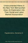 Undocumented Aliens in the New York Metropolitan Area An Exploration into Their Social and Labor Market Incorporation