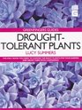 Droughttolerant Plants