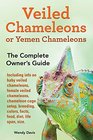 Veiled Chameleons or Yemen Chameleons as pets info on baby veiled chameleons female veiled chameleons chameleon cage setup breeding colors facts food diet life span size