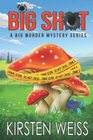 Big Shot A Small Town Cozy Mystery