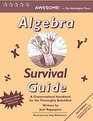 Algebra Survival Guide A Conversational Guide for the Thoroughly Befuddled
