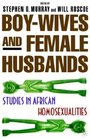 BoyWives and Female Husbands Studies of African Homosexualities