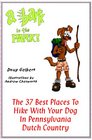 A Bark in the Park The 37 Best Places to Hike with Your Dog in Pennsylvania Dutch Country