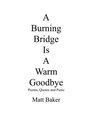 A Burning Bridge Is A Warm Goodbye Poems Quotes and Panic