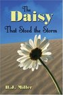 The Daisy That Stood the Storm
