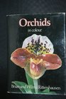 Orchids in Colour