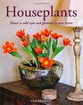 Houseplants Plants to add style and glamour to your home