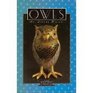 Owls: Art, Legend, History (The Bulfinch Library of Collectibles)