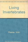 Living Invertebrates