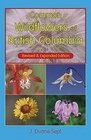 Common Wildflowers of British Columbia