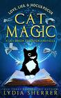Love Lies and Hocus Pocus Cat Magic A Lily Singer Adventures Novella