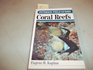 Field Guide to Coral Reefs: Caribbean and Florida (Peterson Field Guide Series)