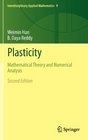 Plasticity Mathematical Theory and Numerical Analysis