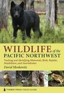 Wildlife of the Pacific Northwest: Tracking and Identifying Mammals, Birds, Reptiles, Amphibians, and Invertebrates (Timber Press Field Guide Series)