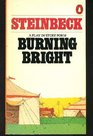 Burning bright A play in story form