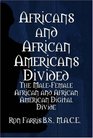 Africans and African Americans Divided The MaleFemale African and African American Digital Divide