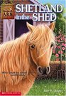 Shetland in the Shed (Animal Ark, Bk 20)