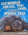 Leatherback Turtles Giant Squids and Other Mysterious Animals of the Deepest Seas