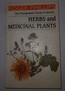 Herbs and Medicinal Plants