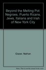Beyond the melting pot The Negroes Puerto Ricans Jews Italians and Irish of New York City