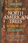 Field Guide to North American Trees