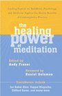 The Healing Power of Meditation Leading Experts on Buddhism Psychology and Medicine Explore the Health Benefits of Contemplative Practice