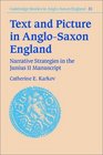 Text and Picture in AngloSaxon England Narrative Strategies in the Junius 11 Manuscript