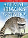 Animal Tracks of Ontario